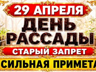29 апреля, Ирина Рассадница. Что нельзя делать сегодня целый день