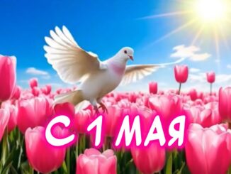 1 Мая Какой сегодня Праздник ? Очень красивое поздравление С 1 МАЯ Весёлая открытка для отличного настроения