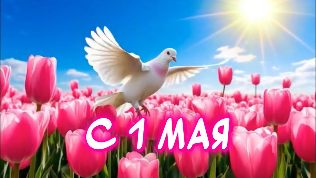 1 Мая Какой сегодня Праздник ? Очень красивое поздравление С 1 МАЯ Весёлая открытка для отличного настроения