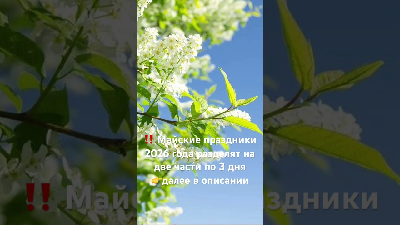 11 Мая выходной ? Майские праздники 2026 года разделят на две части по 3 дня