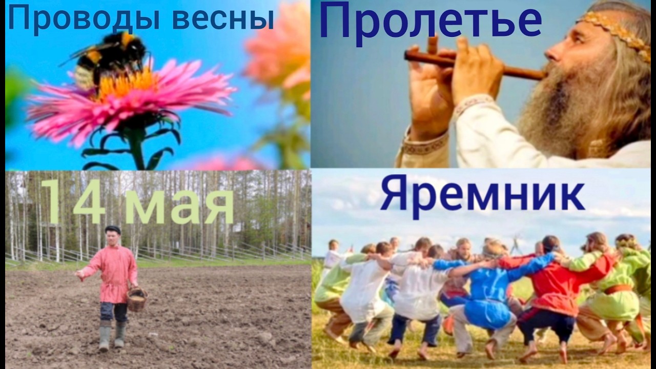 14 мая Какой Сегодня Праздник ? Еремей Запрягальщик. Праздник Пролетье. Проводы весны. Шмели.