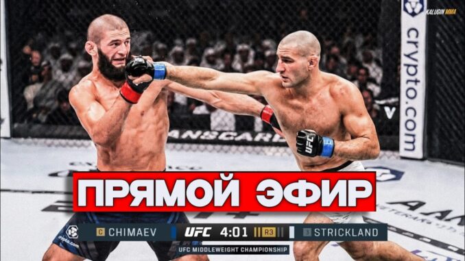БОЙ Хамзат Чимаев — Шон Стриклэнд. UFC 328 Прямая Трансляция 10.05.2026