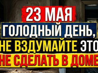 Праздник 23 мая: Симонов день. Что можно и нельзя делать, приметы на день Симона Зилота
