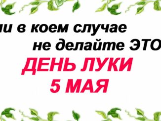 Праздник 5 мая ДЕНЬ ЛУКИ Что можно и что нельзя делать ?