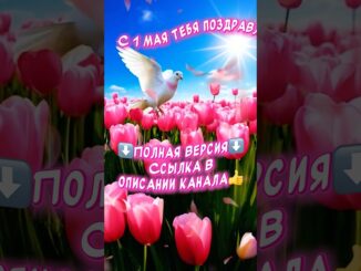 С 1 МАЯ Картинки Очень красивое песня-поздравление С Первомаем Мир! Труд! Май!