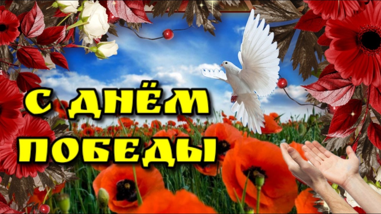 С Днем Победы! 9 мая День Победы, День памяти и примирения